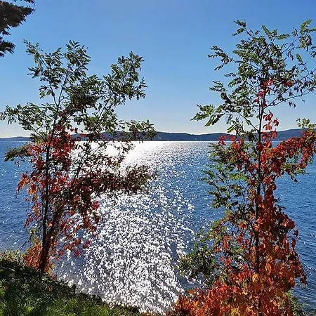 Vedrana