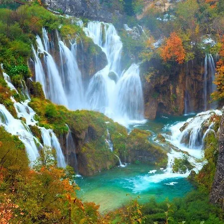 Daire Vedrana *