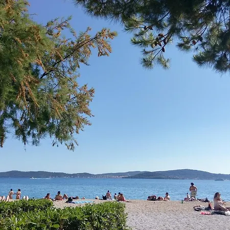 Vedrana *