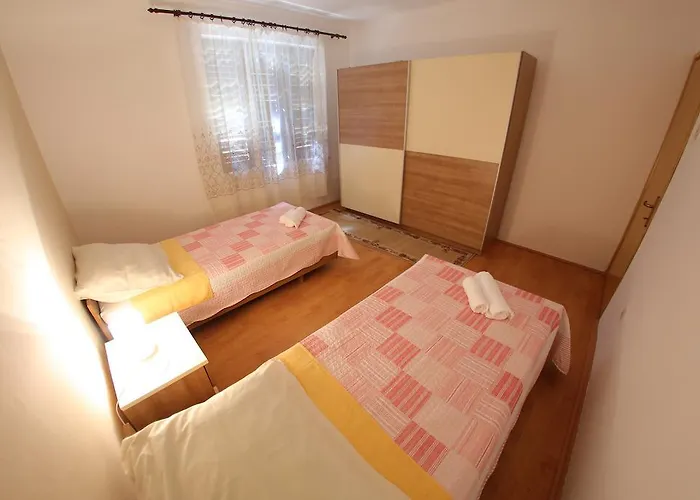 Vedrana Zadar