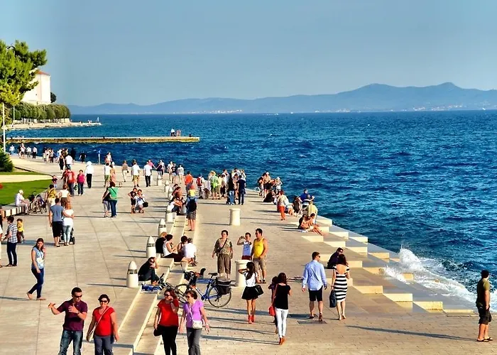 Vedrana Zadar
