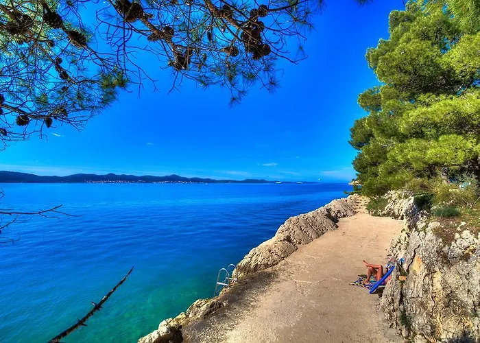 Vedrana Zadar