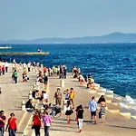 Vedrana Ζαντάρ