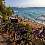 Vedrana *