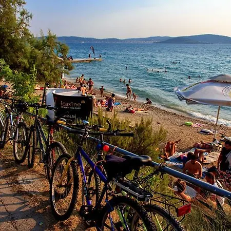 Vedrana *