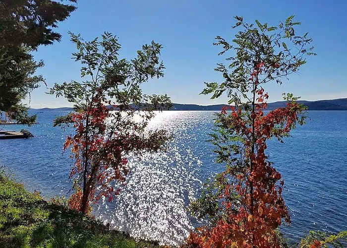Vedrana